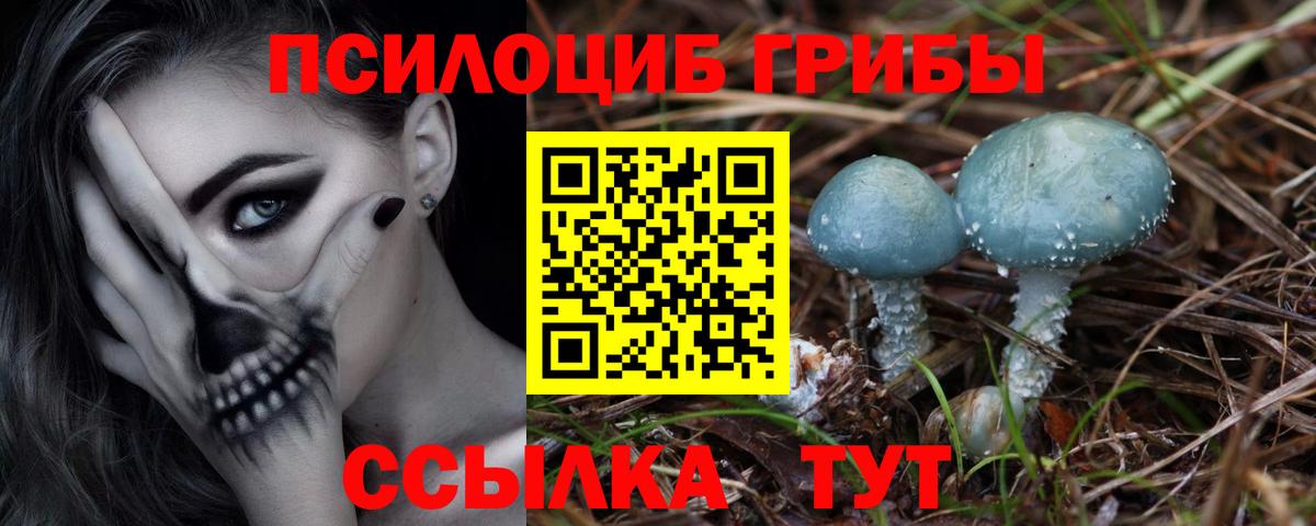 Ачинск  Галлюциногенные грибы ЛСД  Вход с VPN  Псилоцибиновые грибы мухоморы 